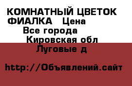 КОМНАТНЫЙ ЦВЕТОК -ФИАЛКА › Цена ­ 1 500 - Все города  »    . Кировская обл.,Луговые д.